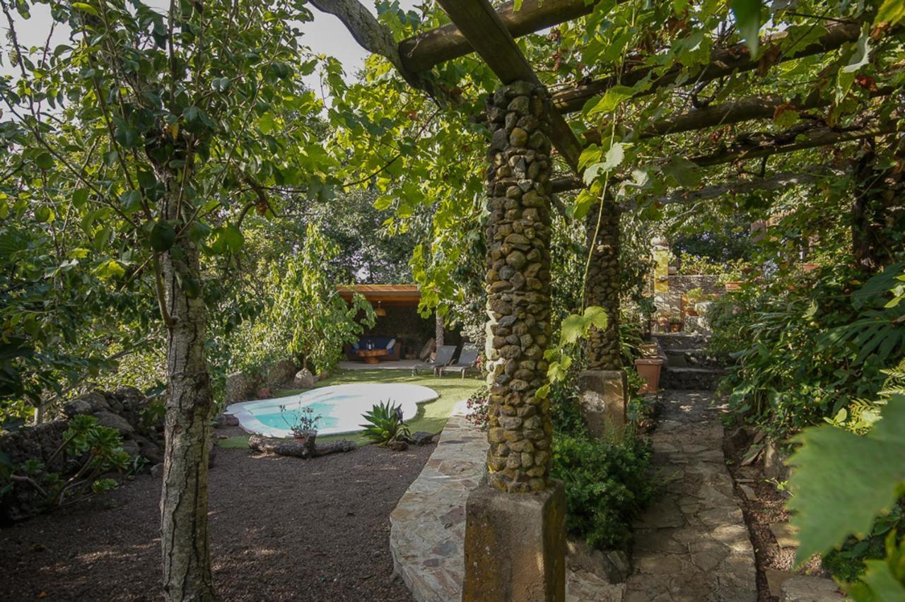 Villa Los Matos Pool And Garden Valleseco Εξωτερικό φωτογραφία